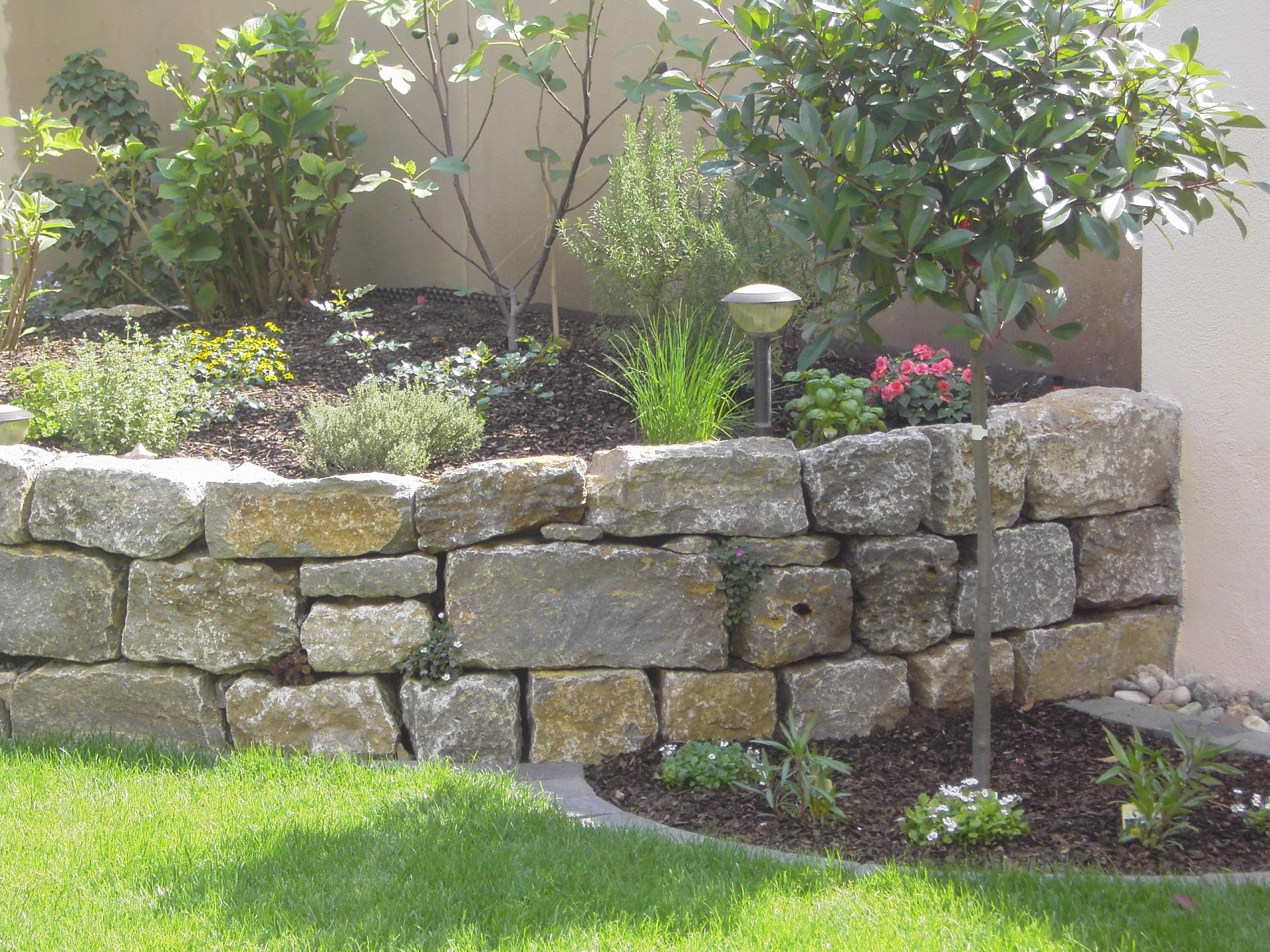 Garten mit Steinmauer und Pflanzen