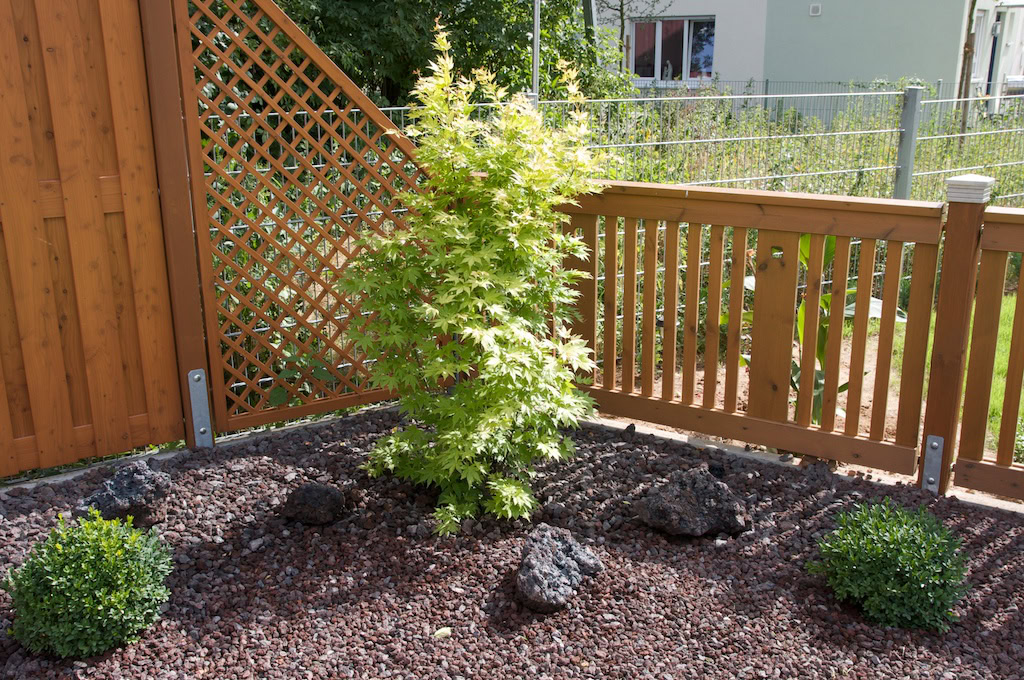 Kleiner Garten mit Buchsbaum und Holzzaun