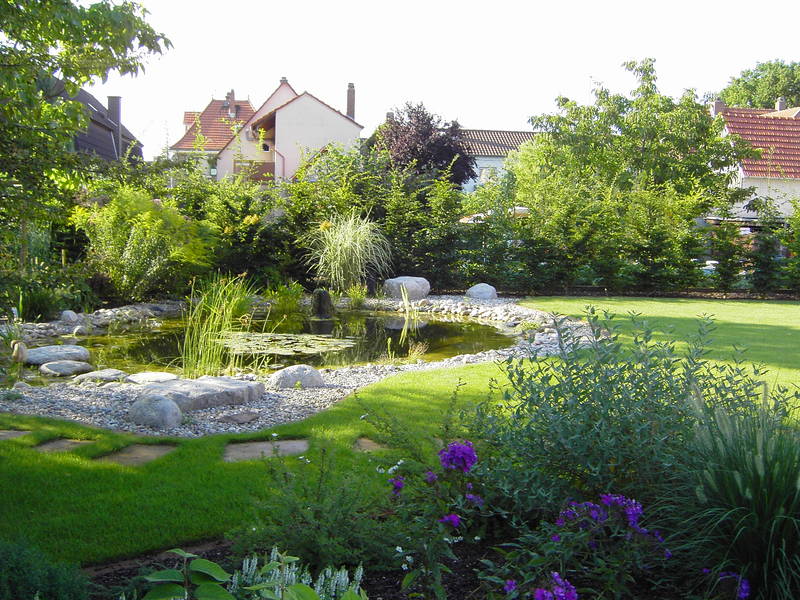 Grüner Garten mit kleinem Teich im Sommer