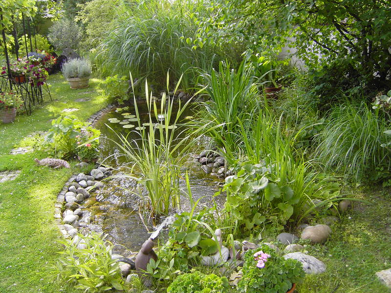 Garten mit Teich und Pflanzen