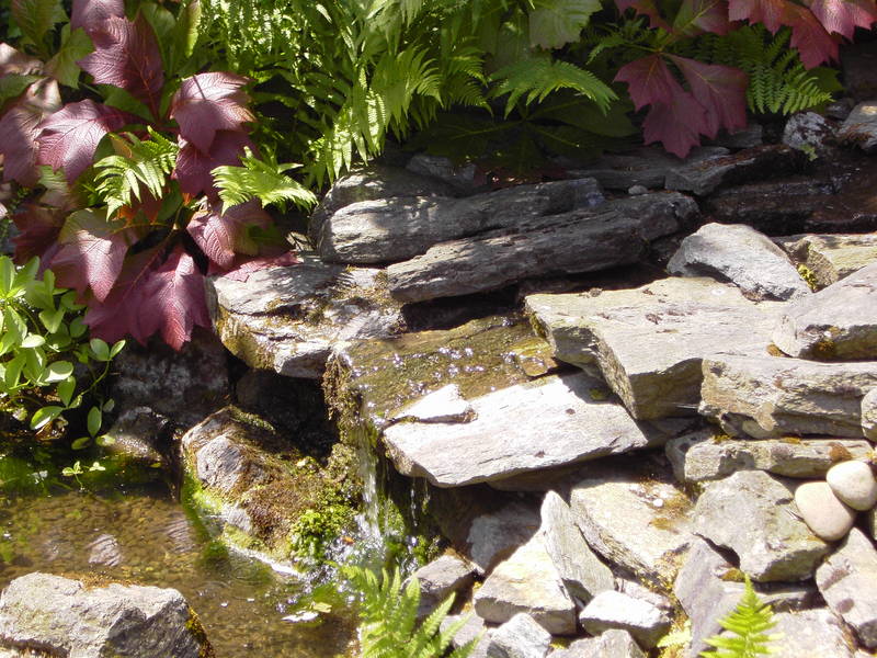 Steingarten mit kleinem Wasserfall und Pflanzen